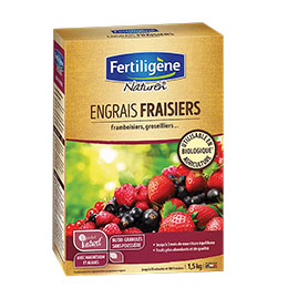 Engrais Fraisiers